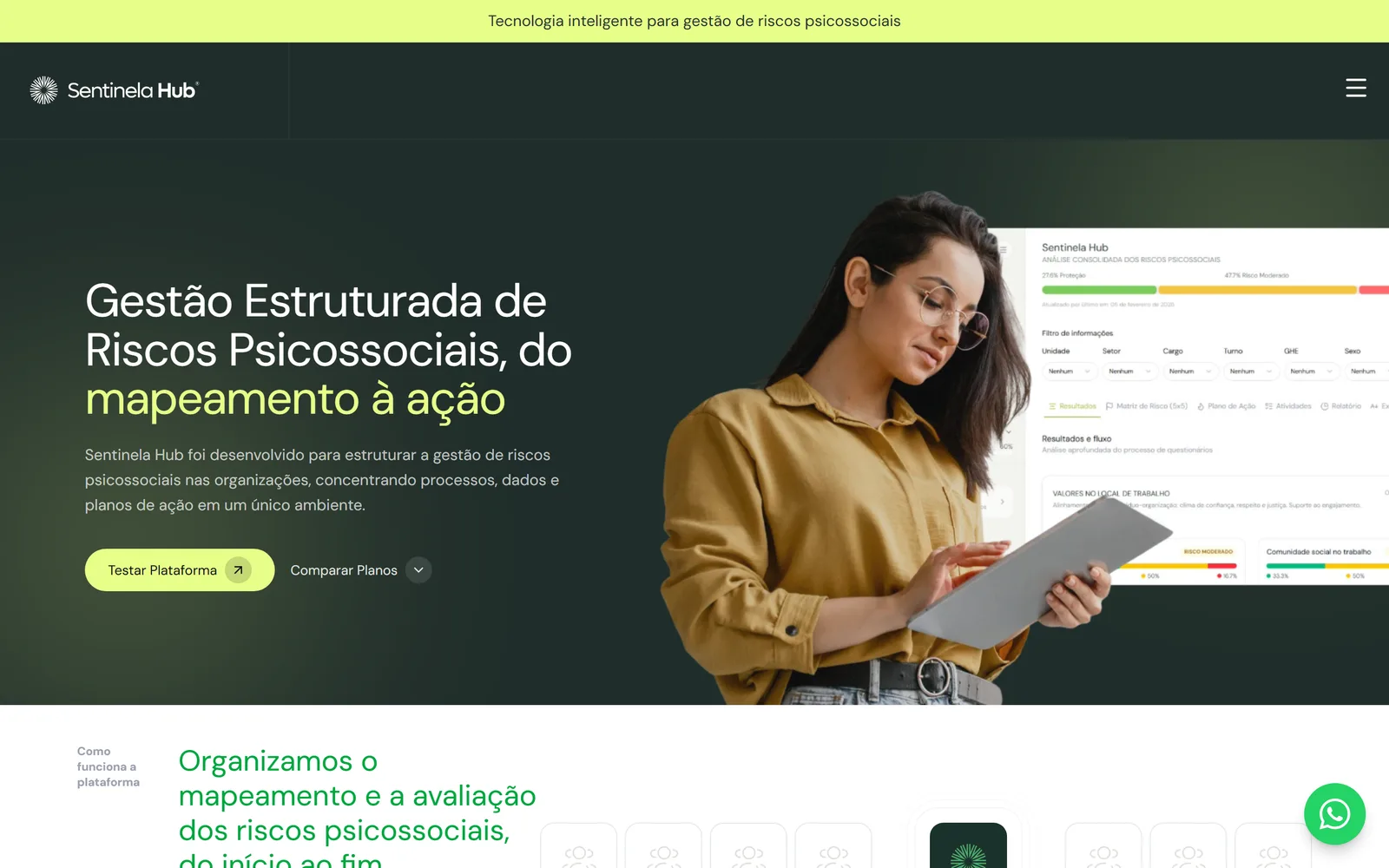 Print do projeto SentinelaHub